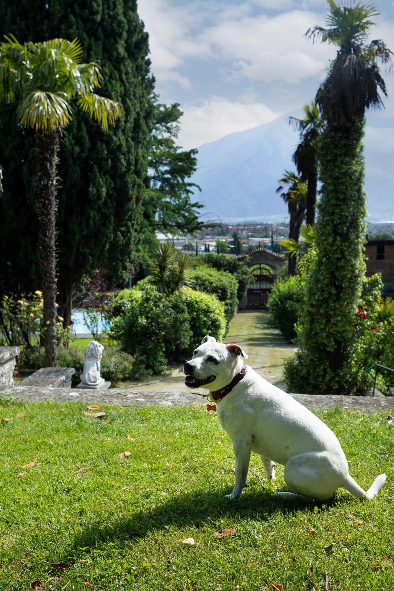 Villa Angelica Riva del Garda Extérieur photo