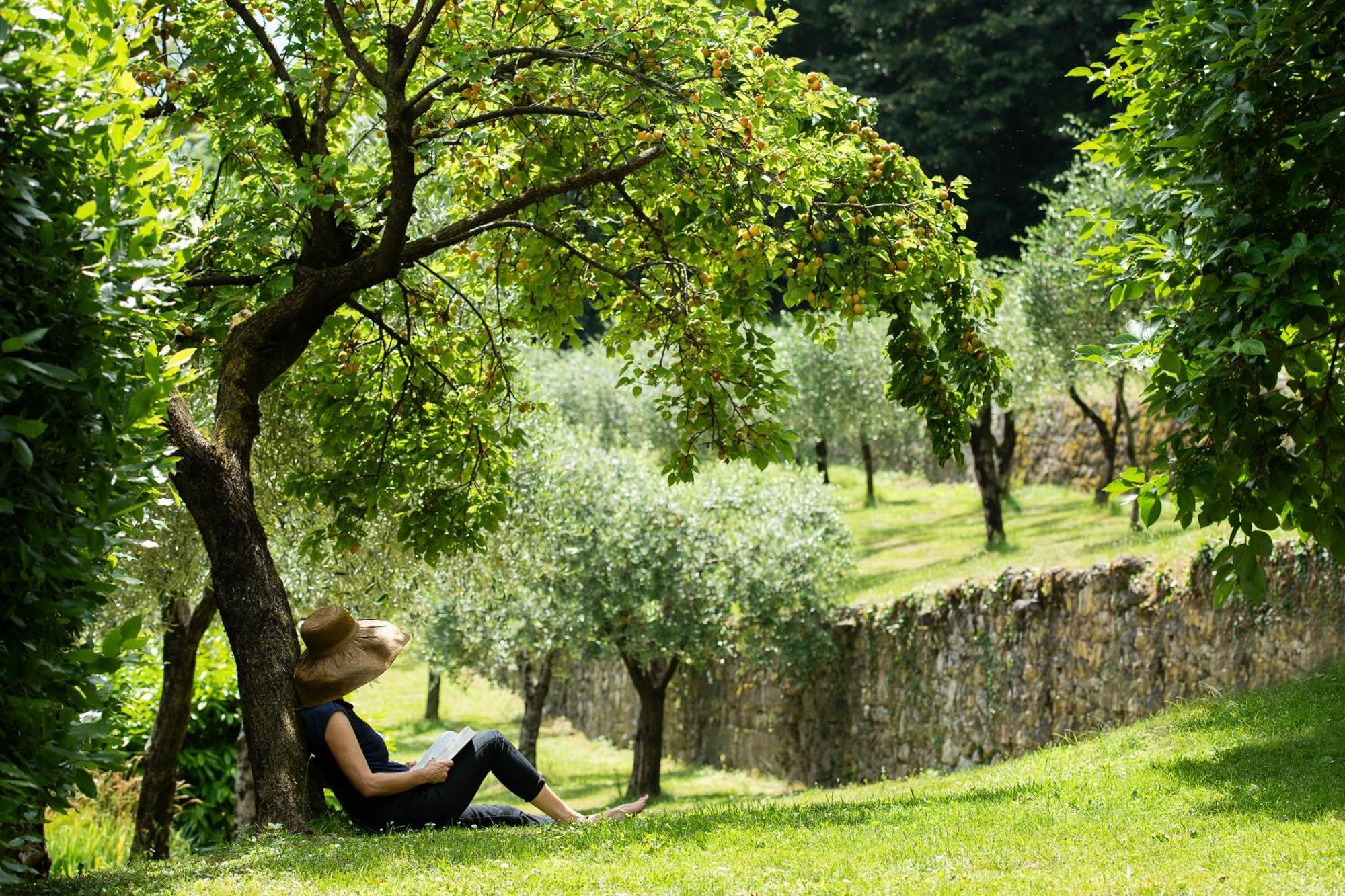 Villa Angelica Riva del Garda Extérieur photo